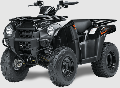300 Brute Force 300 Brute Force