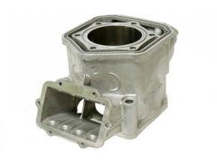 Цилиндр для снегоходов Ski-Doo 600HO SDI 420613944   421000624 SM-09603
