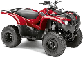 Grizzly 300 Grizzly 300