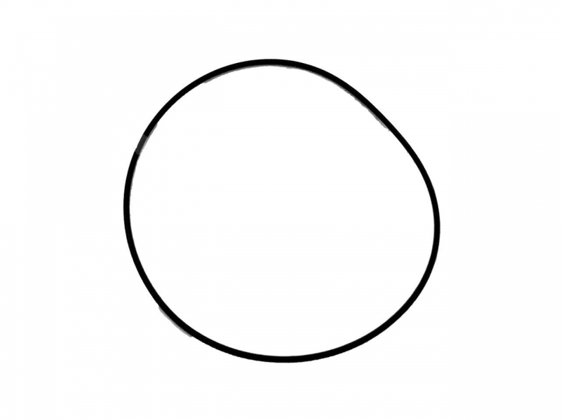 Кольцо уплотнительное (O-RING) снегохода Polaris 5411675