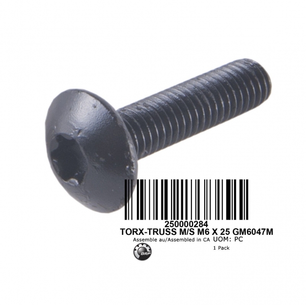 Болт крепления квадроцикла BRP Can-Am (M6 x 25 Torx) 250000758 250000284