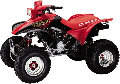 TRX 300