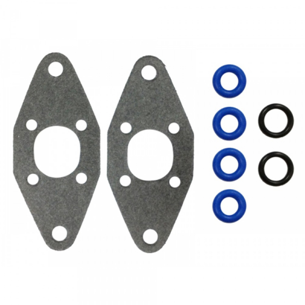Комплект прокладок RAVE клапана BRP 420931542 420430220 420430110 09-719203