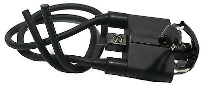 Катушка зажигания для снегохода Polaris RMK Switchback IQ Shift IQ Racer XC SP ED 800 700 600 500 4060229 4060225