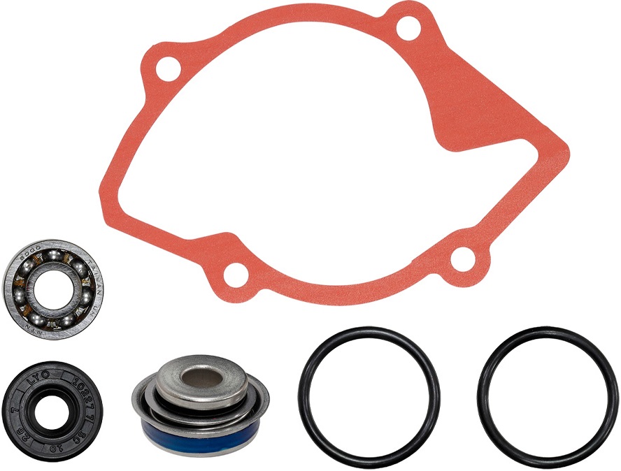 Ремкомплект помпы охлаждения SPI для снегохода Ski-Doo SM-10101 420931812