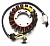 Статор Riderlab для Arctic Cat Wildcat Bearcat Norseman Pantera 3307-028N