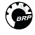 Логотип BRP 48мм 219902468 415037800 516000282 516000983 516002487 219902468 516008738 516006887