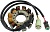 Статор генератора для снегохода Ski-Doo Skandic MX Z Summit 800 700 600 500 410922915 410922923 410922934 410922936